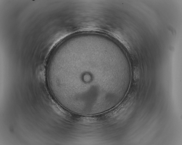 X0000112031356200908101329