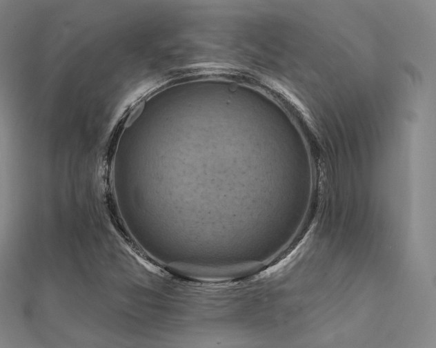 X0000112031357200908101329