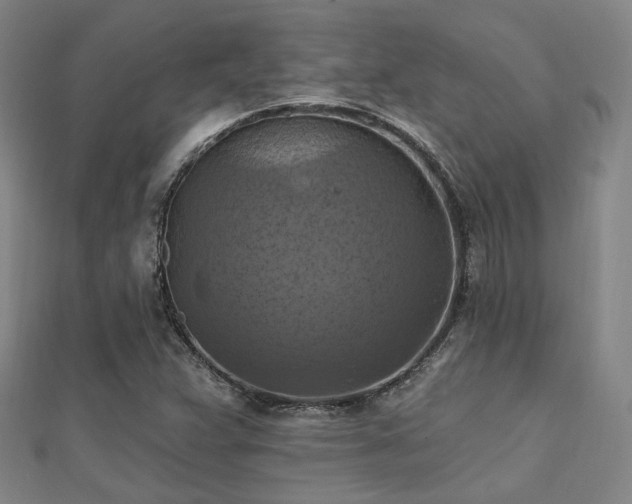 X0000112031359200908101329