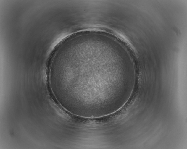 X0000112031360200908101329