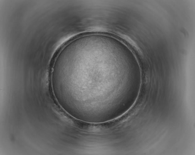 X0000112031364200908101329