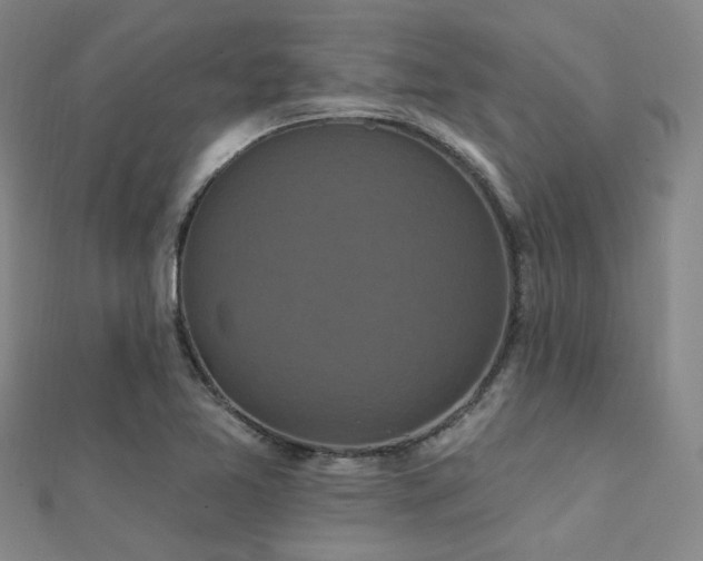 X0000112031365200908101329