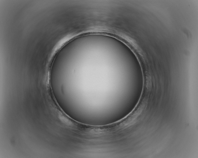 X0000112031366200908101329