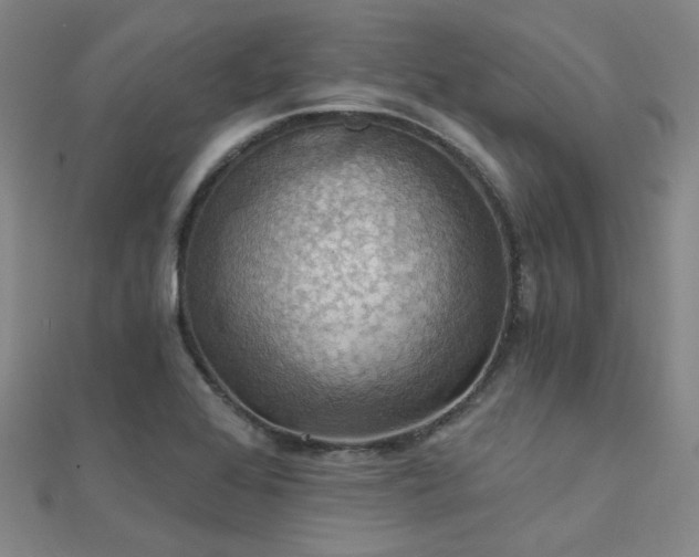 X0000112031368200908101329