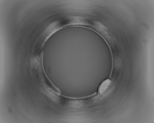 X0000112031369200908101329