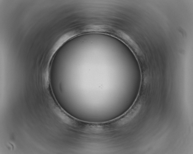 X0000112031370200908101329