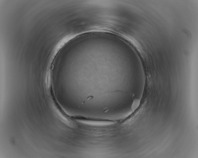 X0000112031371200908101329