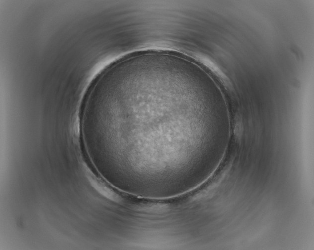 X0000112031372200908101329