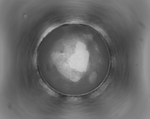 X0000112031374200908101329