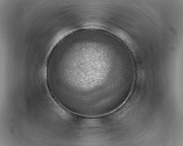 X0000112031376200908101329