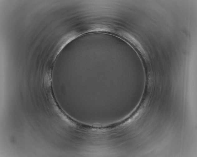 X0000112031377200908101329