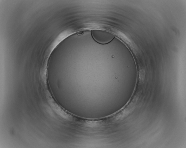 X0000112031378200908101329