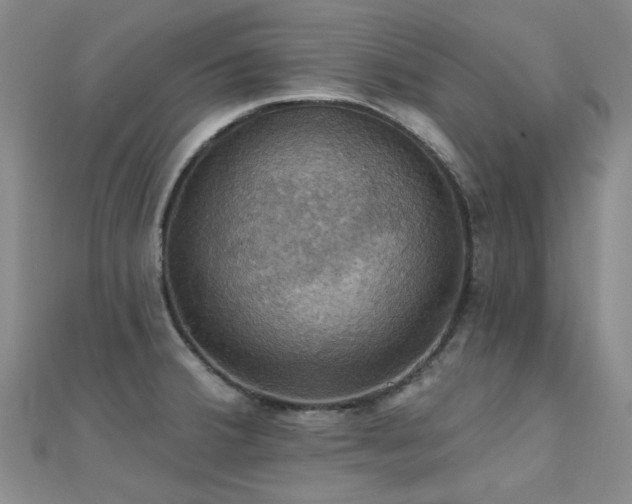X0000112031380200908101329