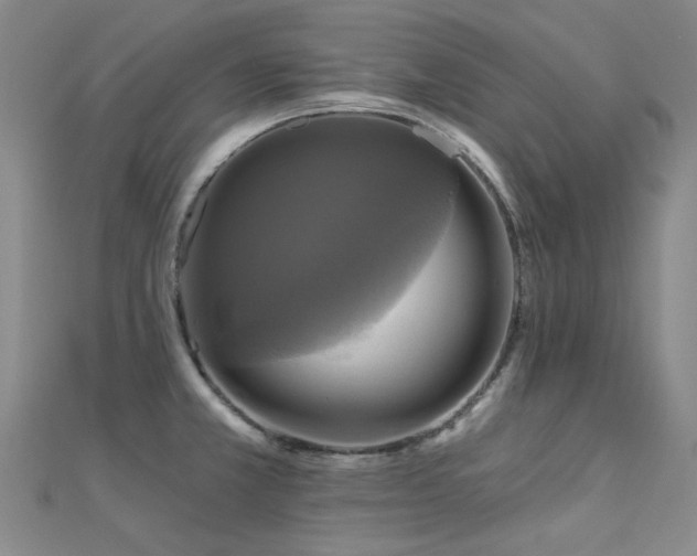 X0000112031381200908101329