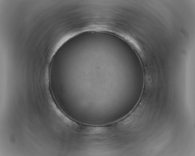X0000112031382200908101329