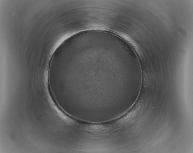 X0000112031383200908101329