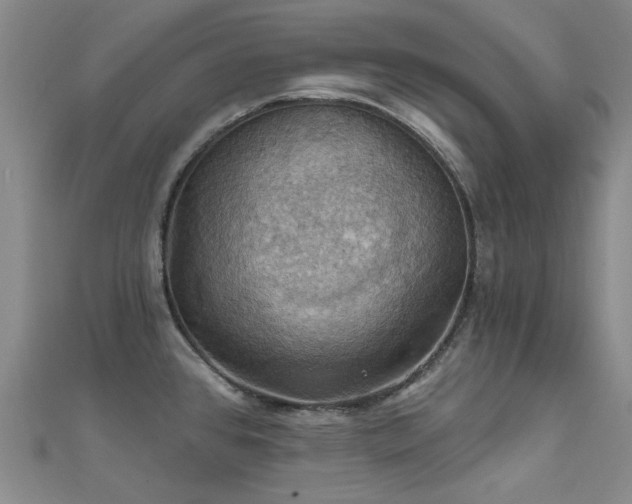 X0000112031384200908101329
