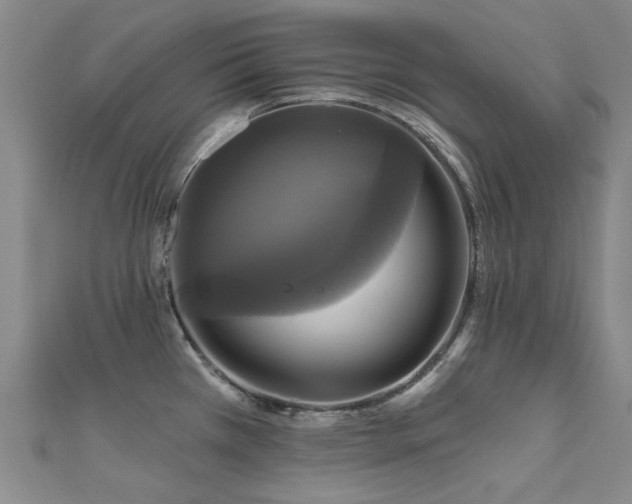 X0000112031385200908101329