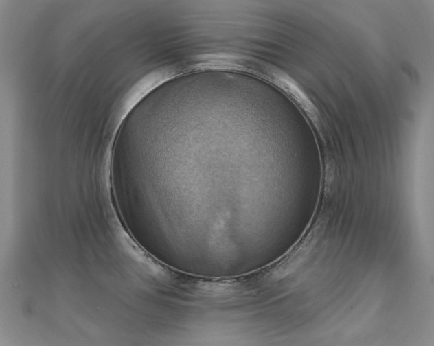 X0000112031386200908101329