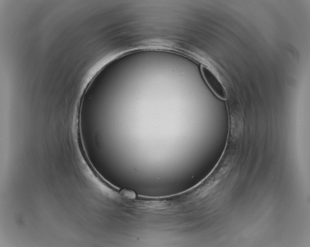 X0000112031387200908101329