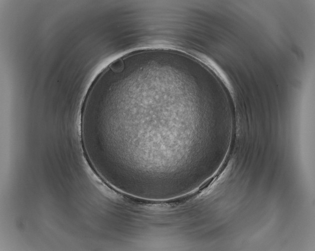 X0000112031388200908101329