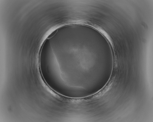 X0000112031389200908101329