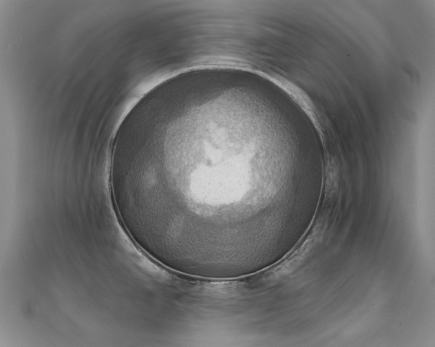 X0000112031390200908101329