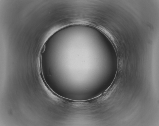 X0000112031391200908101329