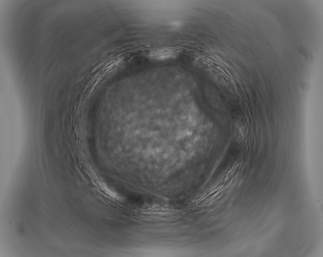 X0000112031393200908101328