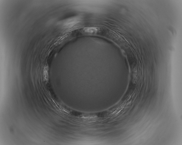 X0000112031394200908101328