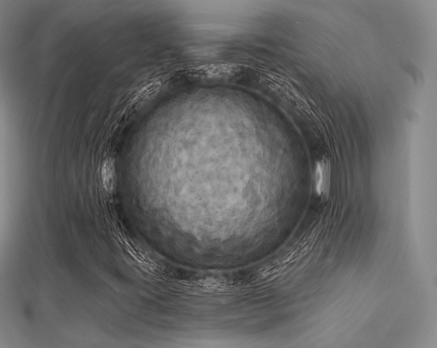 X0000112031395200908101328