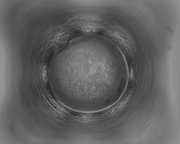 X0000112031396200908101328