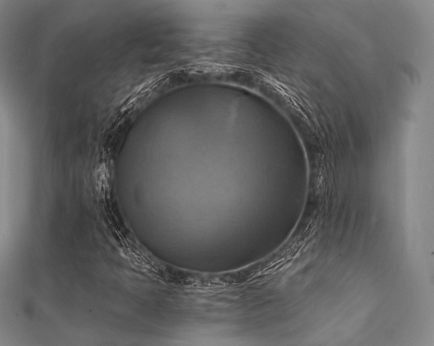 X0000112031397200908101328