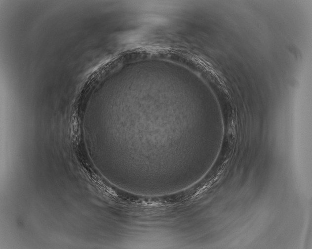 X0000112031398200908101328