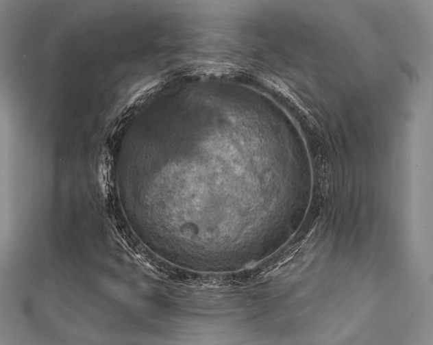 X0000112031399200908101328