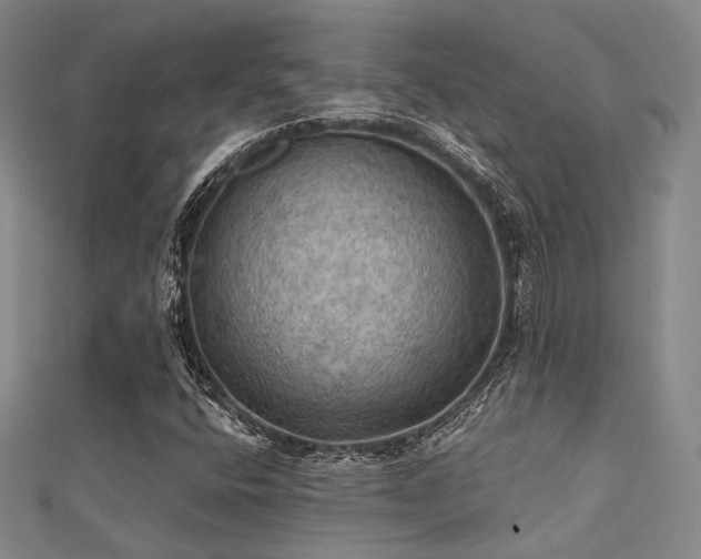 X0000112031400200908101328
