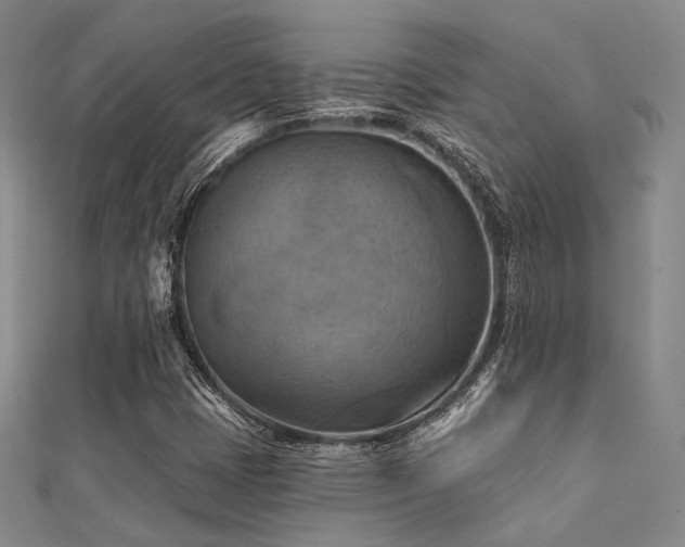 X0000112031401200908101328
