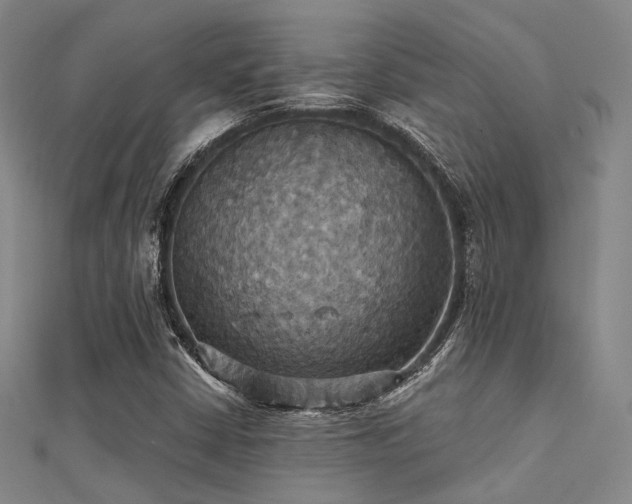 X0000112031402200908101328