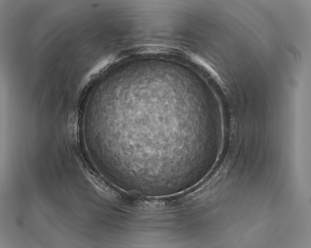 X0000112031403200908101328