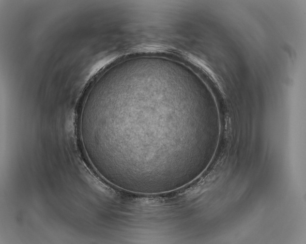 X0000112031404200908101328