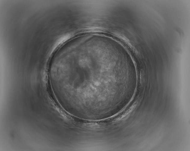 X0000112031405200908101328