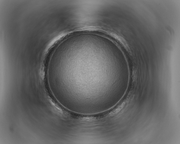 X0000112031406200908101328