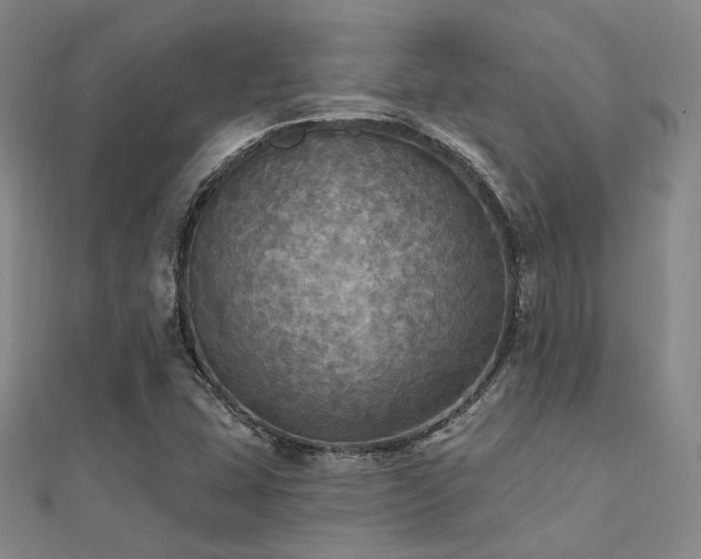X0000112031407200908101328