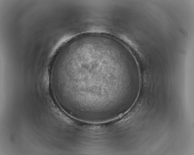 X0000112031408200908101328