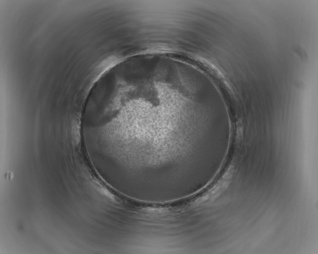 X0000112031409200908101328