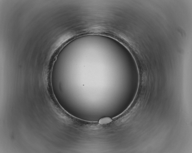 X0000112031410200908101328