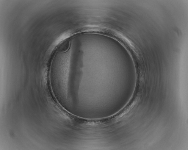X0000112031411200908101328