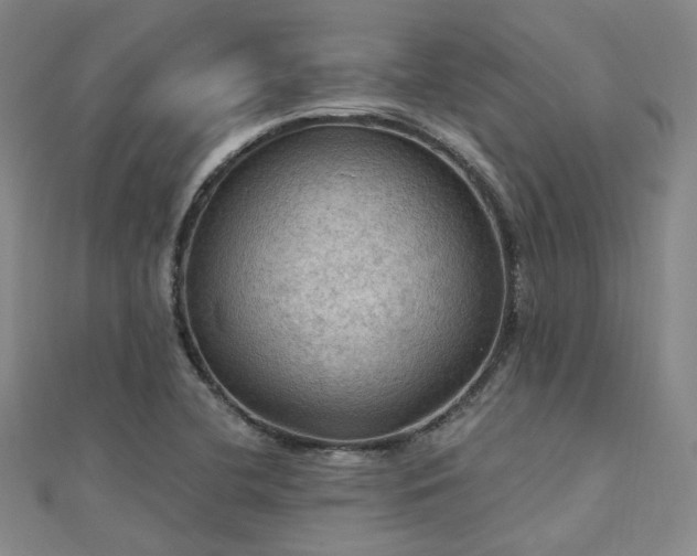 X0000112031412200908101328