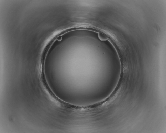 X0000112031414200908101328