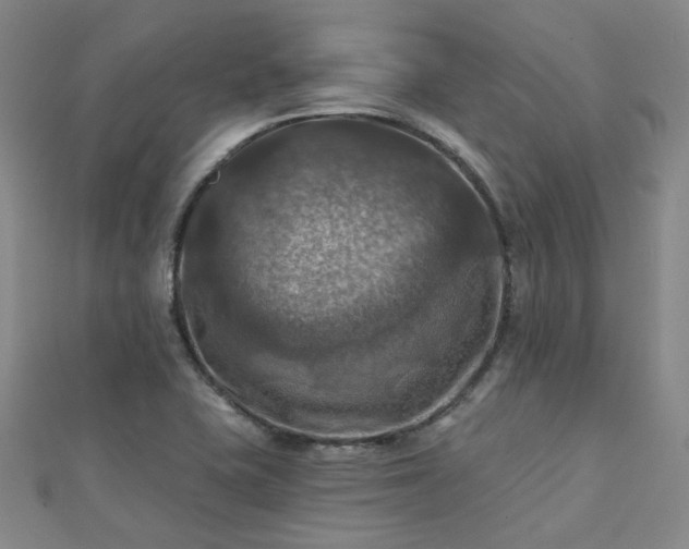 X0000112031415200908101328
